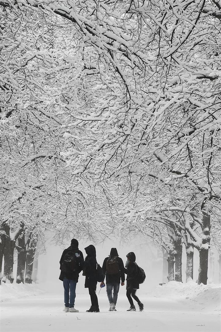 48 saat aralıksız kar yağdı - 7