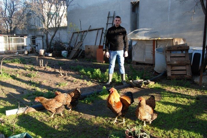 Bu tavukların tanesi 2 bin, yumurtası 40 lira - 5