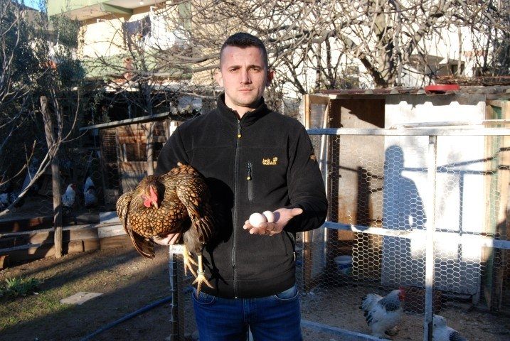 Bu tavukların tanesi 2 bin, yumurtası 40 lira - 7
