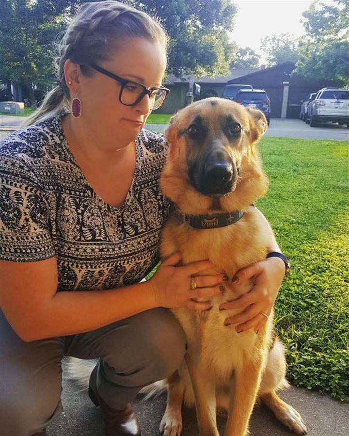 Veterinere giden köpekler gülümsetti - 9