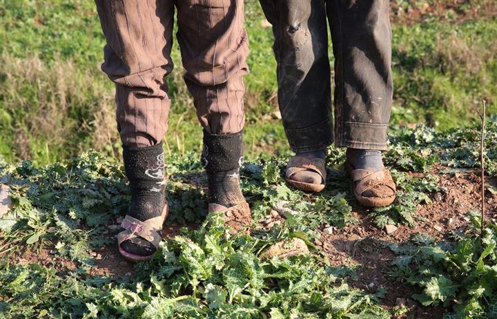 'Biz Türk askerinden memnunuz' - 8