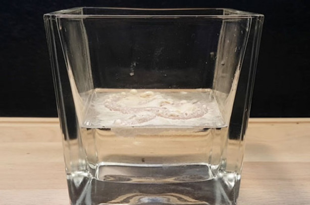 Diş macunu midede bakın ne hale geliyor! - 9