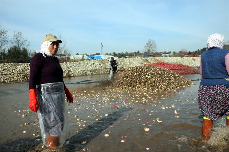 Soğuk suda ekmek mücadelesi - 1