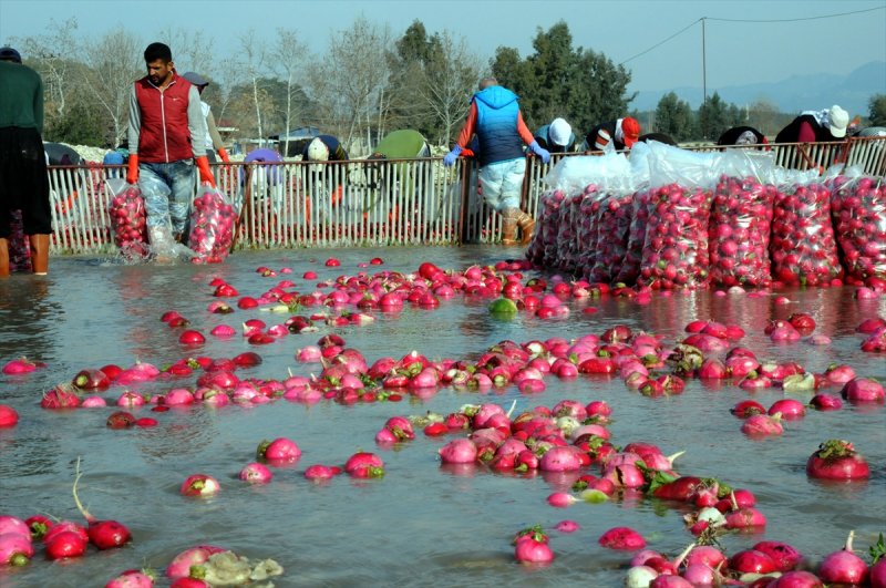 Soğuk suda ekmek mücadelesi - 2