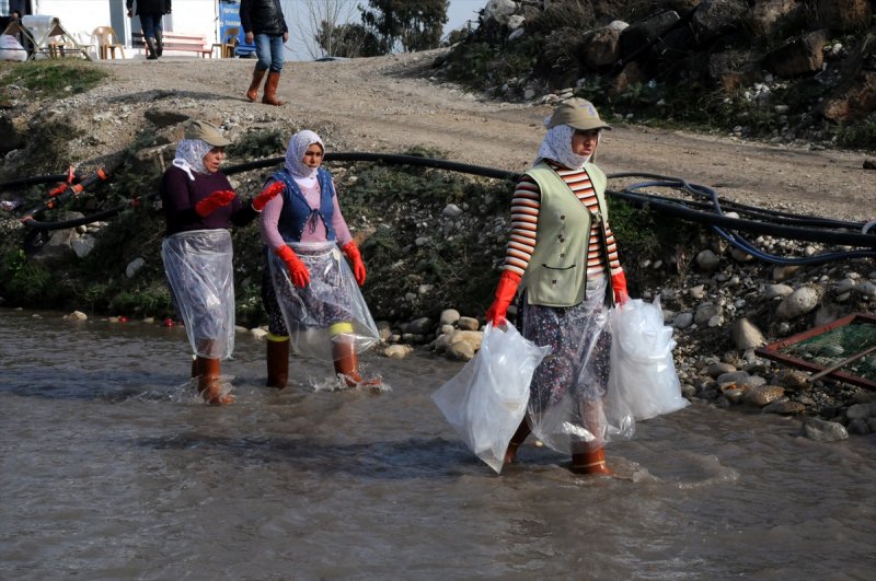 Soğuk suda ekmek mücadelesi - 4