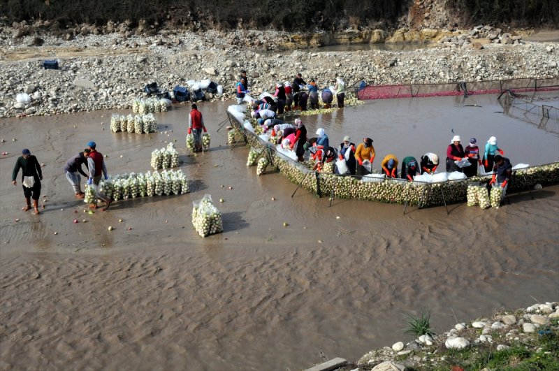 Soğuk suda ekmek mücadelesi - 6