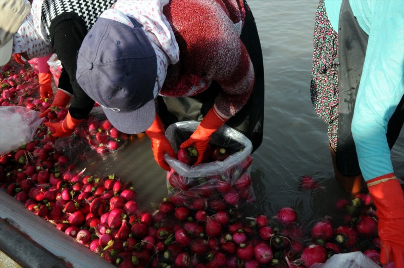 Soğuk suda ekmek mücadelesi - 8