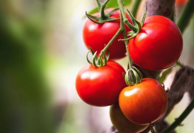 Kahvaltıda tükettiğiniz bu yiyecekler sizi rahatsız edebilir - 7