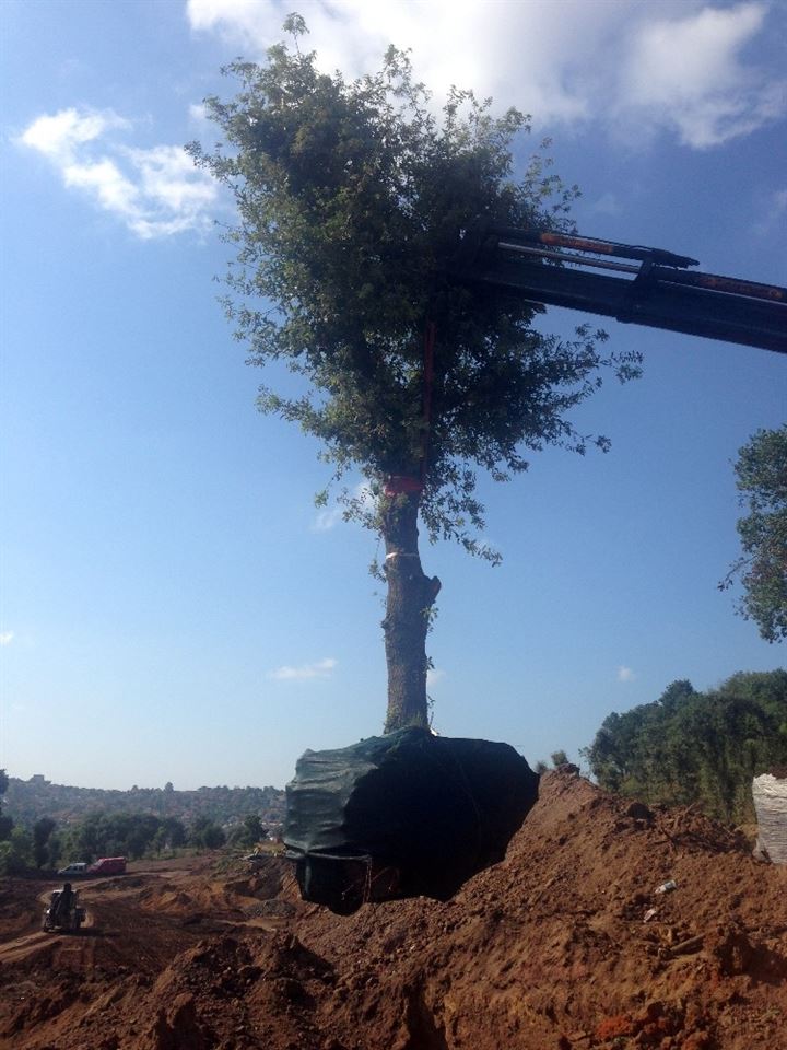 70 dakikalık yol 5 dakikaya iniyor! - 7