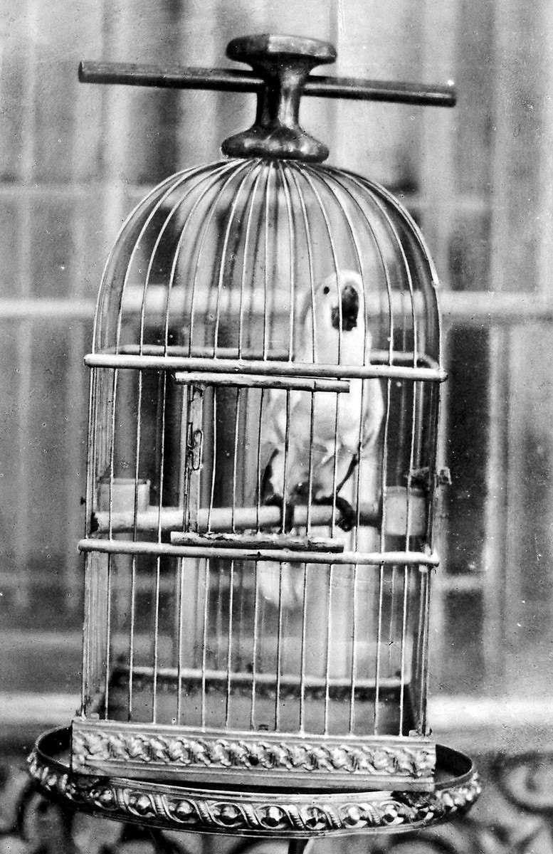 Sultan 2. Abdülhamid dönemine ait görmediğiniz fotoğraflar - 10