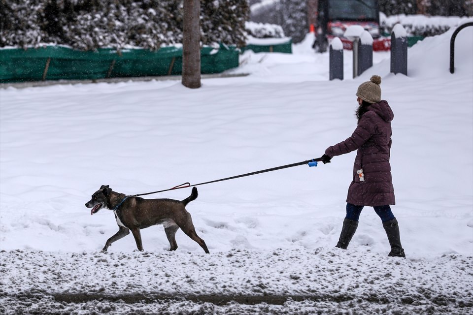Chicago'yu kar fırtınası vurdu - 1