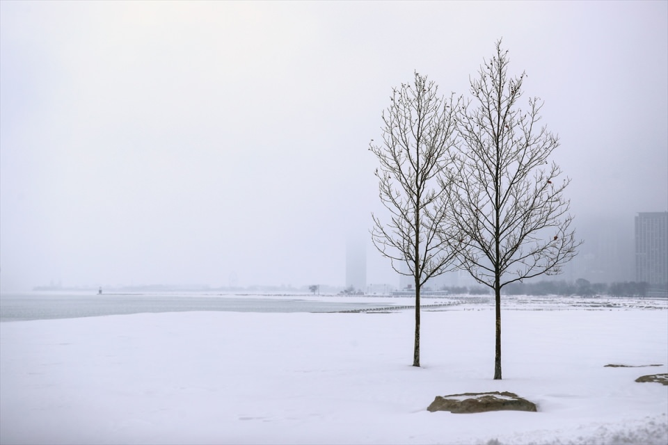 Chicago'yu kar fırtınası vurdu - 10