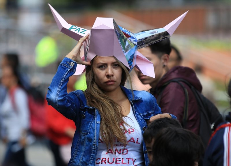 Kolombiya'da boğa güreşi protesto edildi - 4