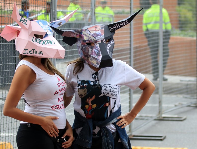 Kolombiya'da boğa güreşi protesto edildi - 5