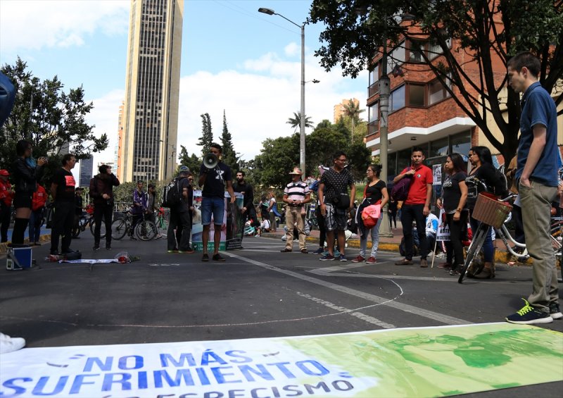 Kolombiya'da boğa güreşi protesto edildi - 11