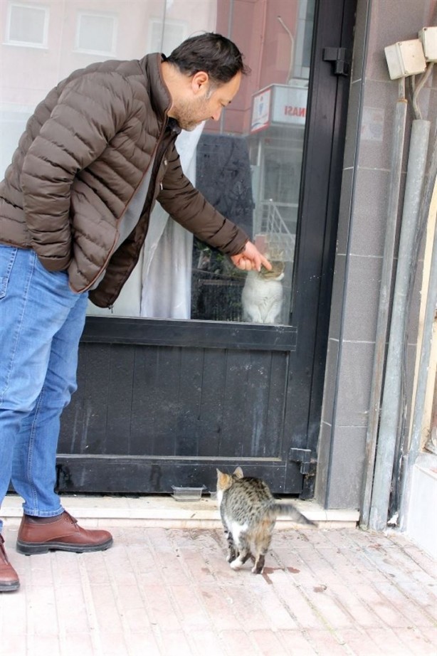 Dükkanda kilitli kalan kedi Yalova'yı ayağa kaldırdı - 5