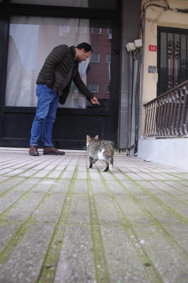 Dükkanda kilitli kalan kedi Yalova'yı ayağa kaldırdı - 14