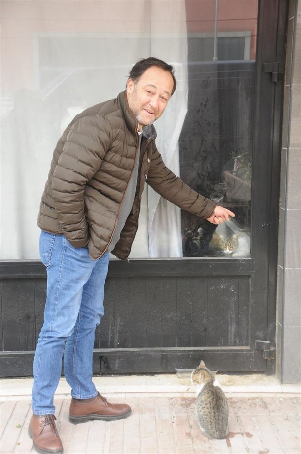 Dükkanda kilitli kalan kedi Yalova'yı ayağa kaldırdı - 15
