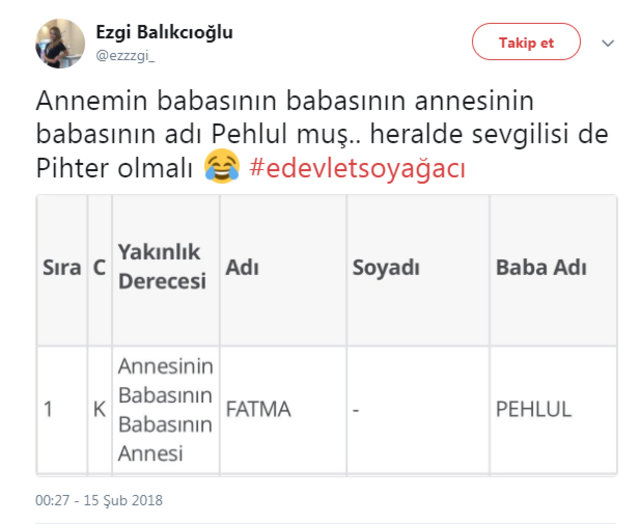 e-Devlet'in soyağacı sorgulamasında rastlanan değişik isimler - 4