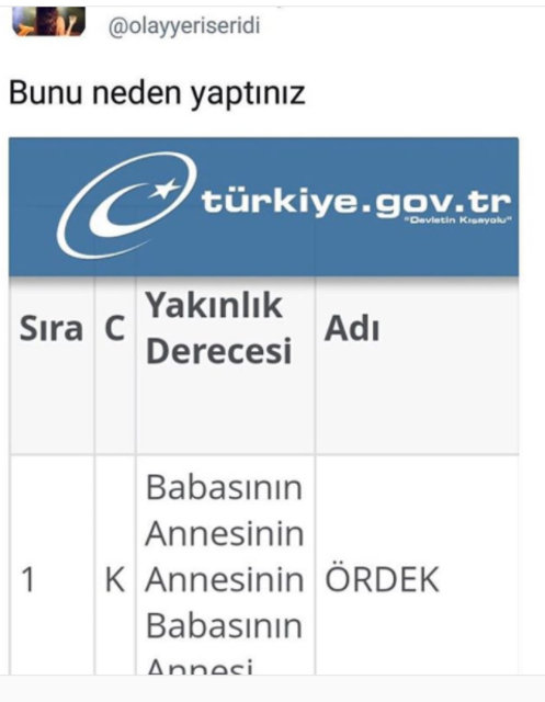 e-Devlet'in soyağacı sorgulamasında rastlanan değişik isimler - 14