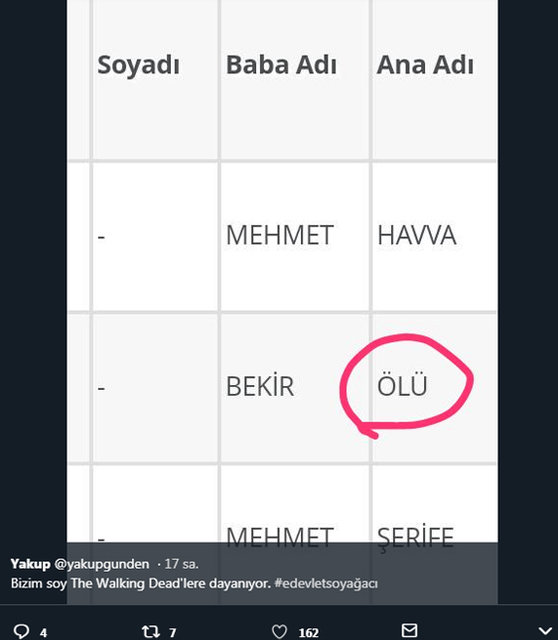 e-Devlet'in soyağacı sorgulamasında rastlanan değişik isimler - 16