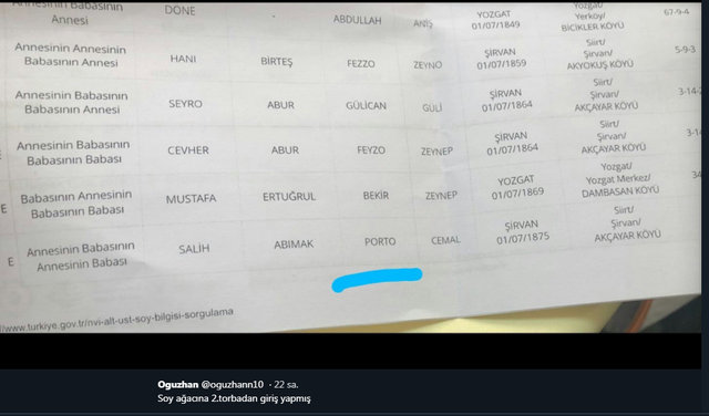 e-Devlet'in soyağacı sorgulamasında rastlanan değişik isimler - 17