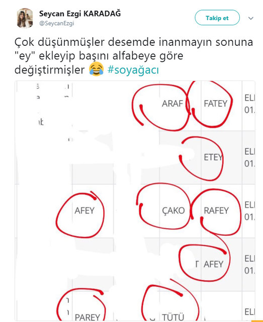 e-Devlet'in soyağacı sorgulamasında rastlanan değişik isimler - 25