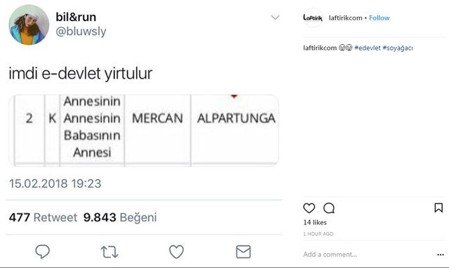 e-Devlet'in soyağacı sorgulamasında rastlanan değişik isimler - 26