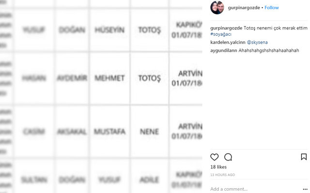 e-Devlet'in soyağacı sorgulamasında rastlanan değişik isimler - 30