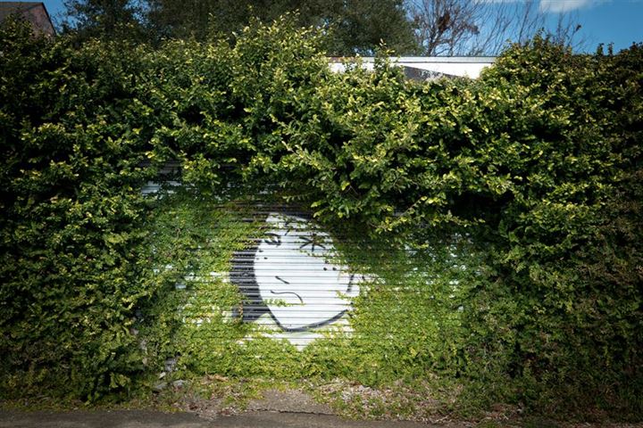 Terk edilmiş bölgelerin son hali - 2