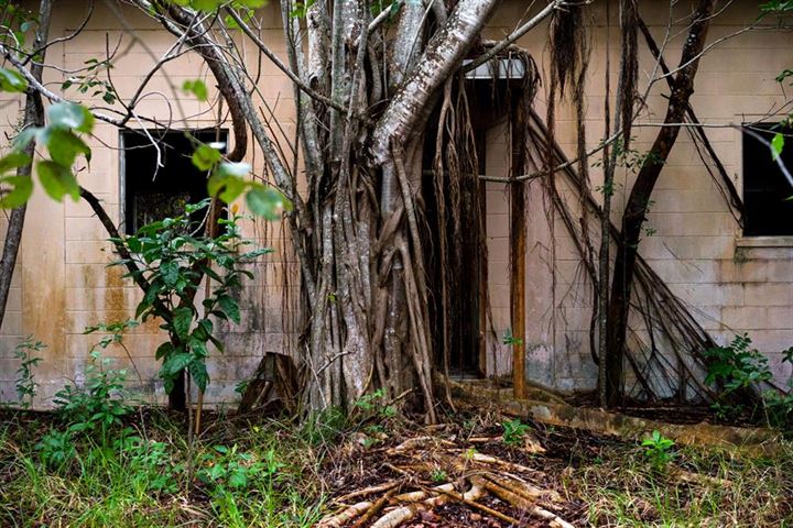 Terk edilmiş bölgelerin son hali - 4