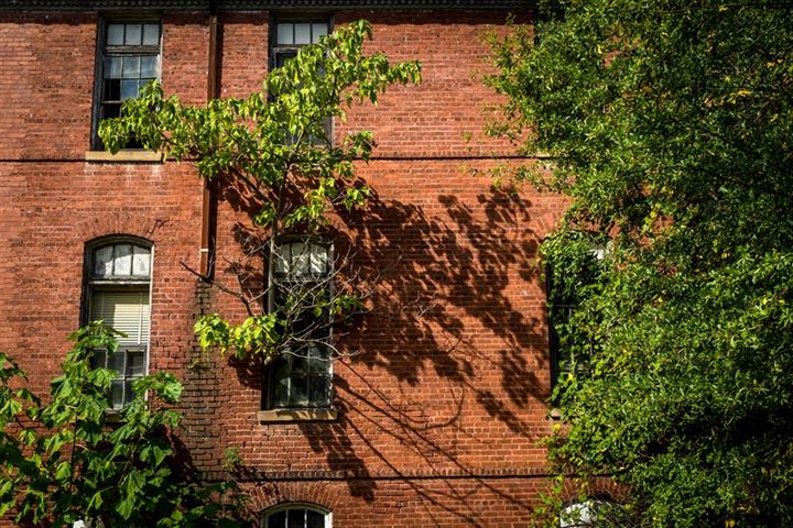 Terk edilmiş bölgelerin son hali - 12