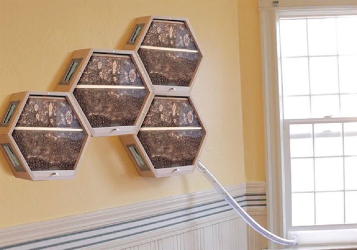 Oturma odasında arıcılık yaptıran sistem - 0