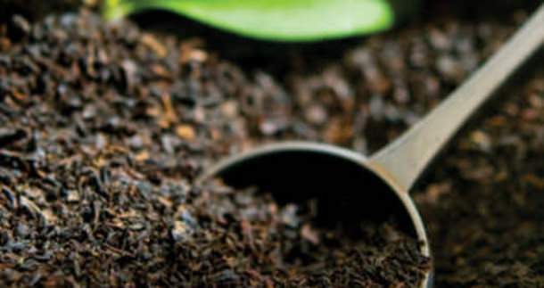 Demlikte kalan çayı atmayın! - 3