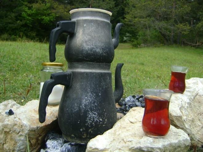 Demlikte kalan çayı atmayın! - 7