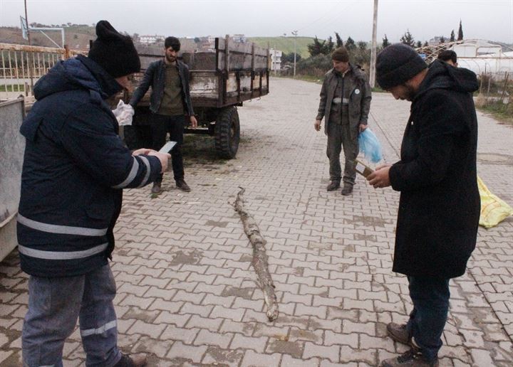 Tekirdağ’da dev yılan paniği - 7