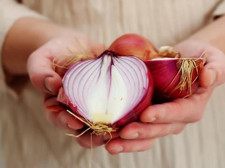 Soğan nasıl muhafaza edilir? - 4