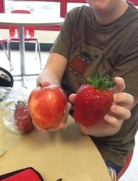 Dünyanın en büyük meyve ve sebzeleri - 0