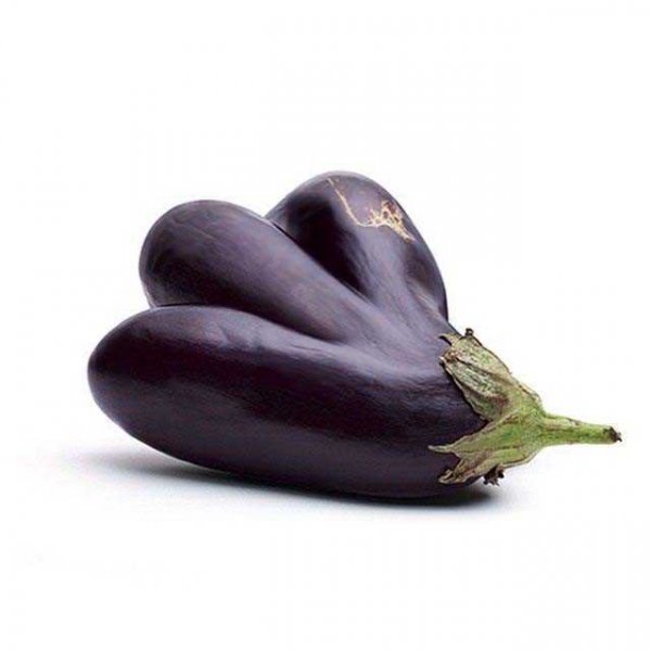 Dünyanın en büyük meyve ve sebzeleri - 0