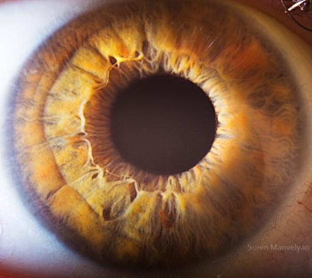 Gözlere bir de yakından bakın - 4