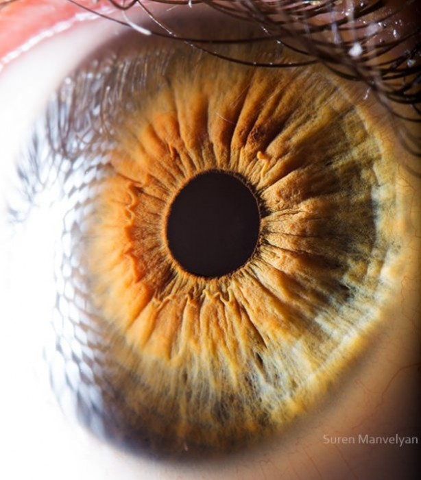 Gözlere bir de yakından bakın - 5
