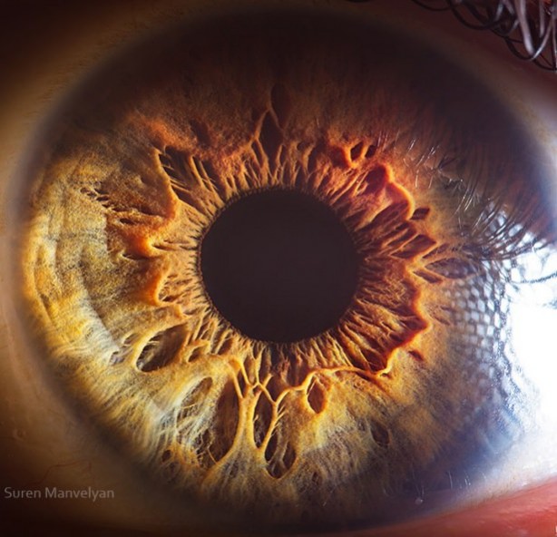 Gözlere bir de yakından bakın - 9