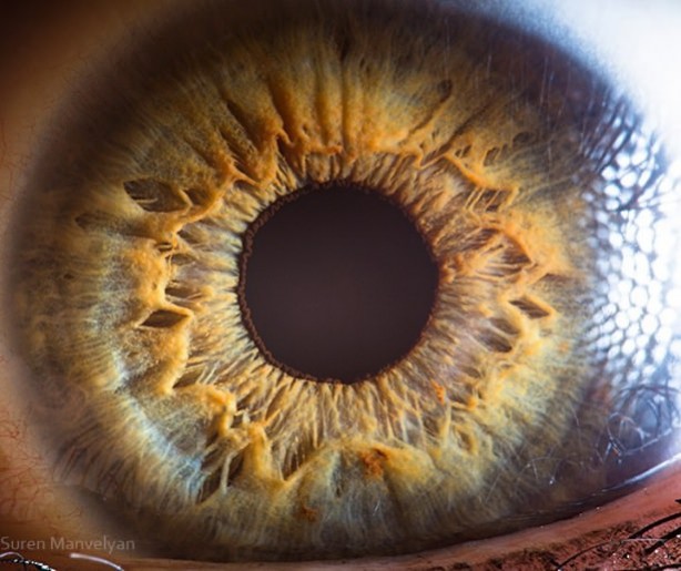 Gözlere bir de yakından bakın - 11