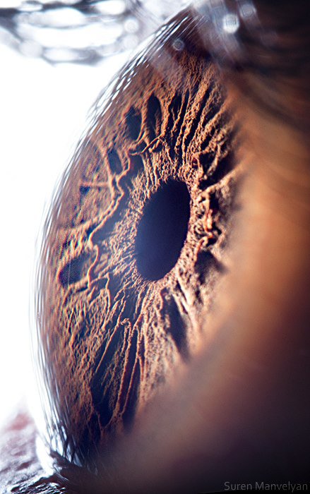 Gözlere bir de yakından bakın - 14