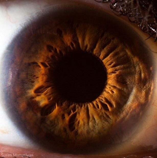 Gözlere bir de yakından bakın - 41