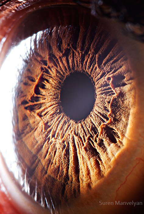 Gözlere bir de yakından bakın - 48