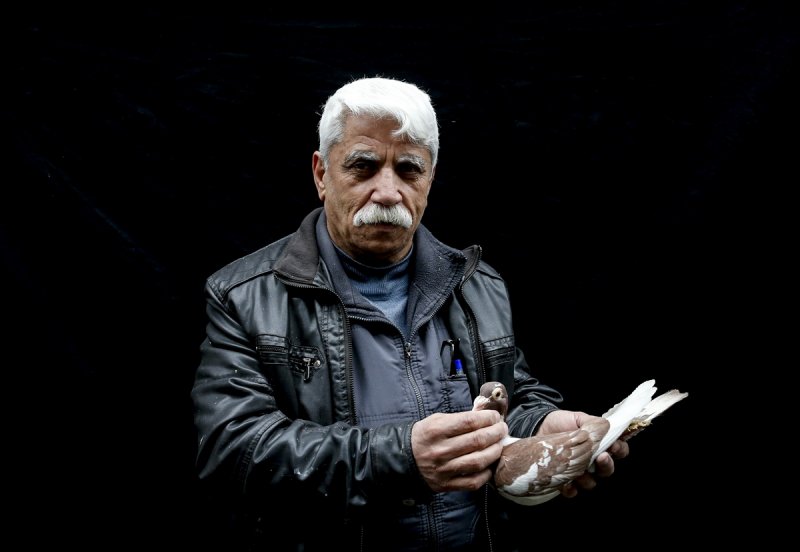 Şanlıurfa'da kuş severler kamera karşısında - 4