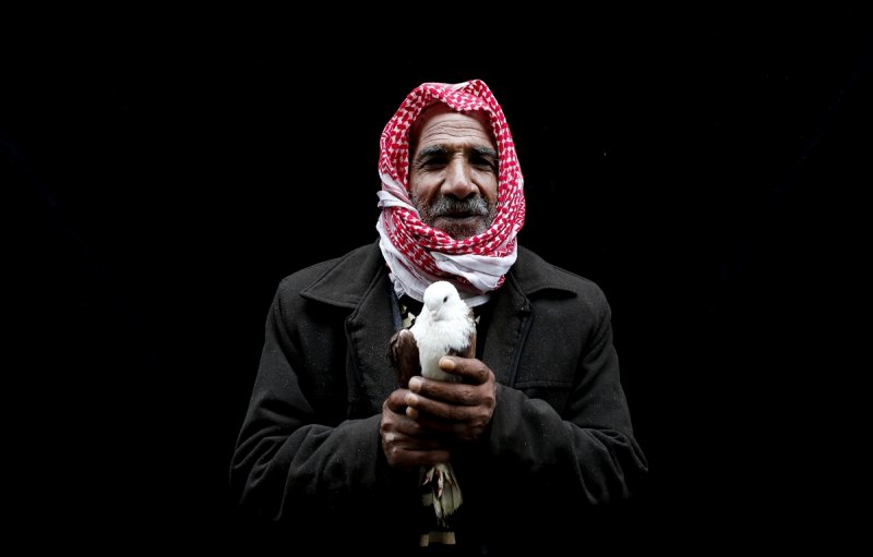 Şanlıurfa'da kuş severler kamera karşısında - 7