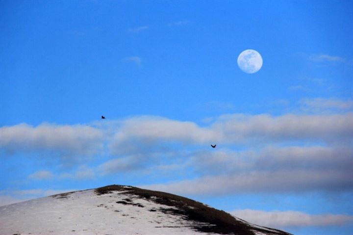 ’Süper ay’ kartpostallık görüntüler oluşturdu - 4