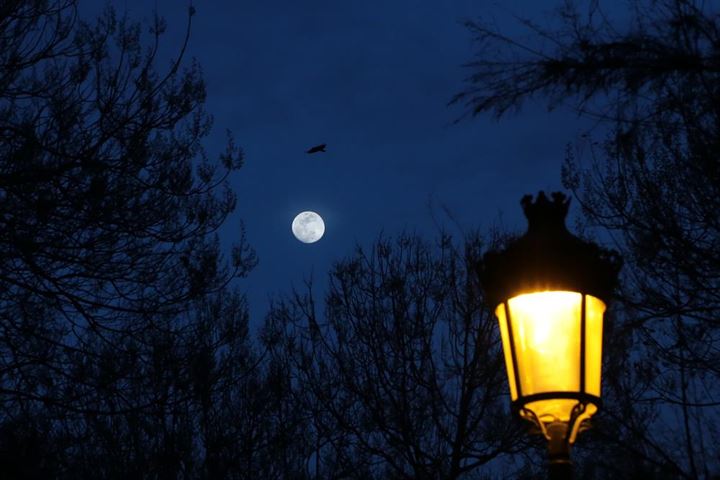 ’Süper ay’ kartpostallık görüntüler oluşturdu - 8